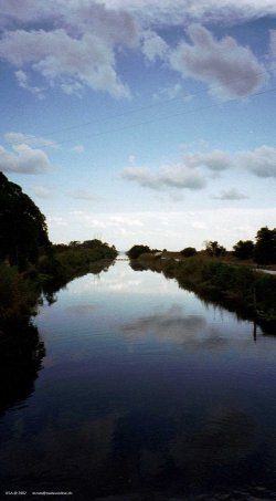 Die Everglades in Florida