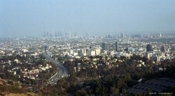 Blick von den Hollywood Hills auf Downtown LA