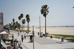 Venice Beach in LA